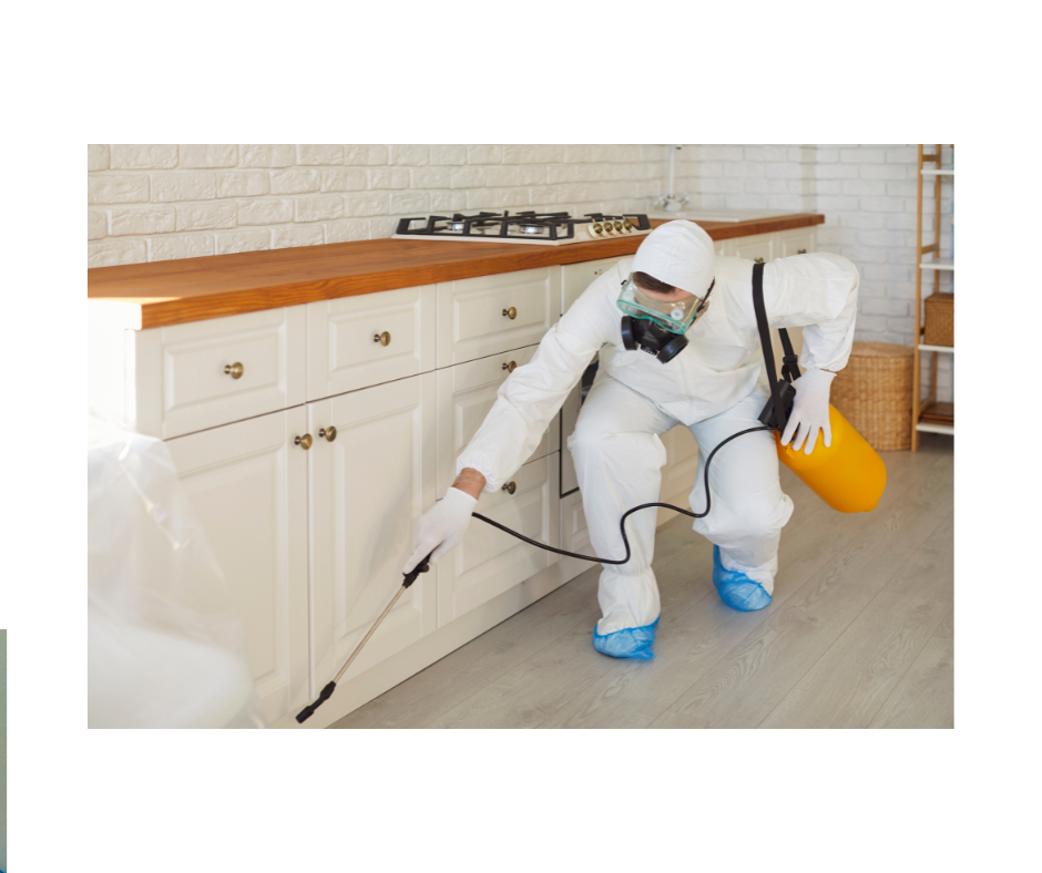 الرئيسية white blue yellow modern house cleaning service facebook post (6)
