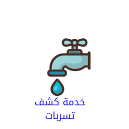 الرئيسية خدمة كشف تسربات