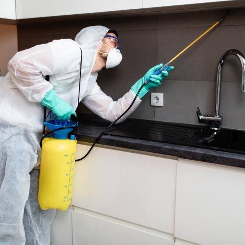 مكافحة الحشرات