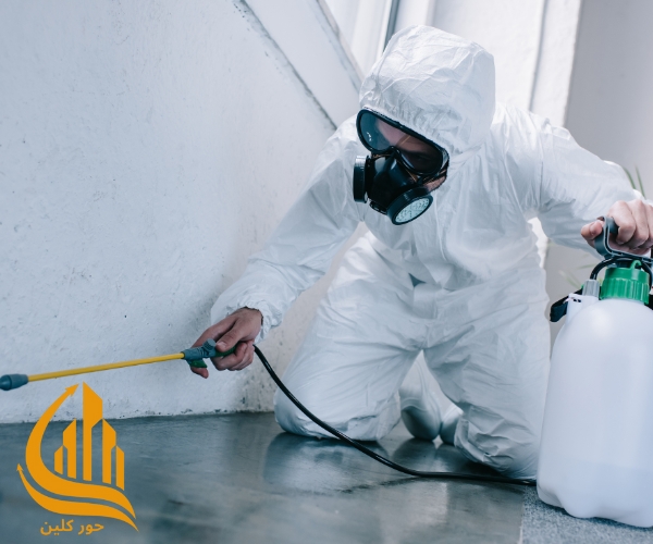 شركة مكافحة حشرات بالرياض